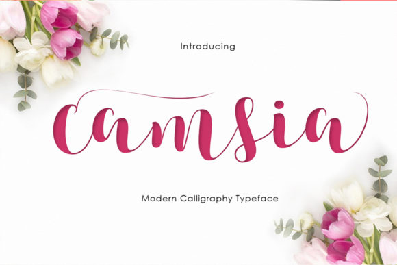Camsia: A Flowing Script Handwritten Font for Elegant Web Design