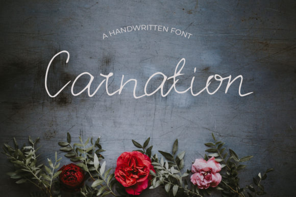 Carnation: A Delicate Handwritten Font for Elegant Branding