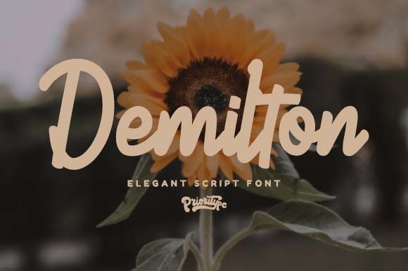 Demilton Script Handwritten Font for Makers