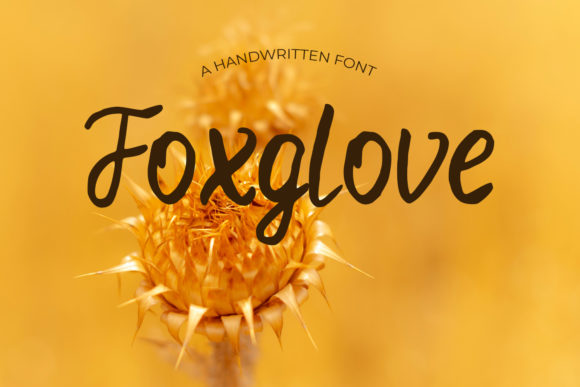 Foxglove: A Refined Script Font for Editorial Design