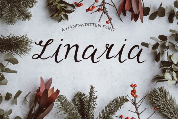 Linaria: The Elegant Handwritten Font for Business Branding