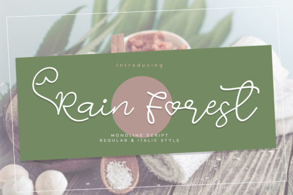 Rain Forest Script Handwritten Font for Romantic Campaigns