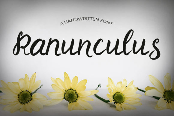Ranunculus Handwritten Font for Crafters & Sellers