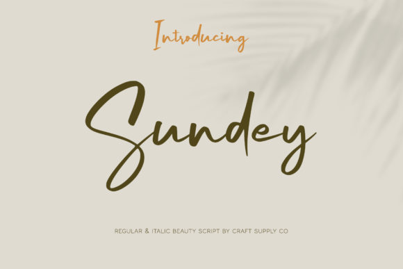 Sundey: A Delicate Script Handwritten Font for Editorial Elegance